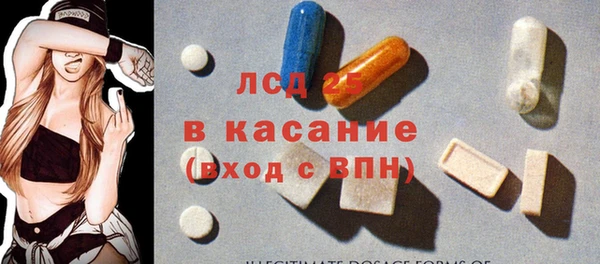 мяу мяу мука Аркадак