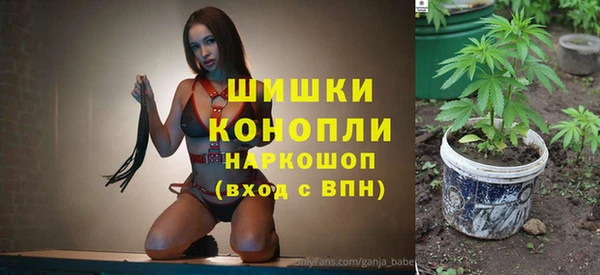 мяу мяу мука Аркадак