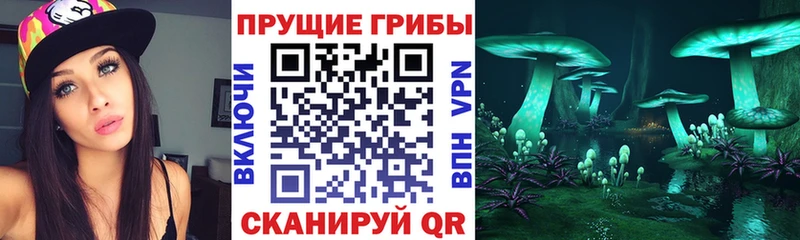 mega ссылка  Рузаевка  Галлюциногенные грибы прущие грибы 
